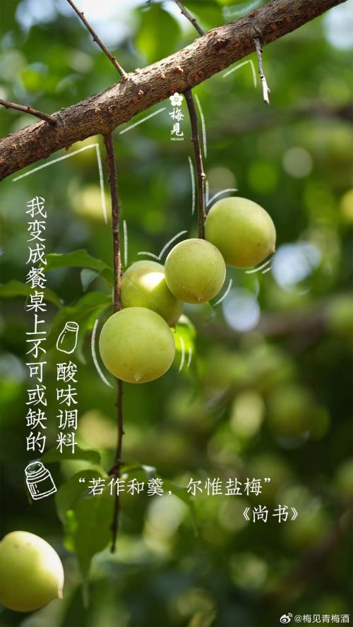 华康古籍木兰使用案例