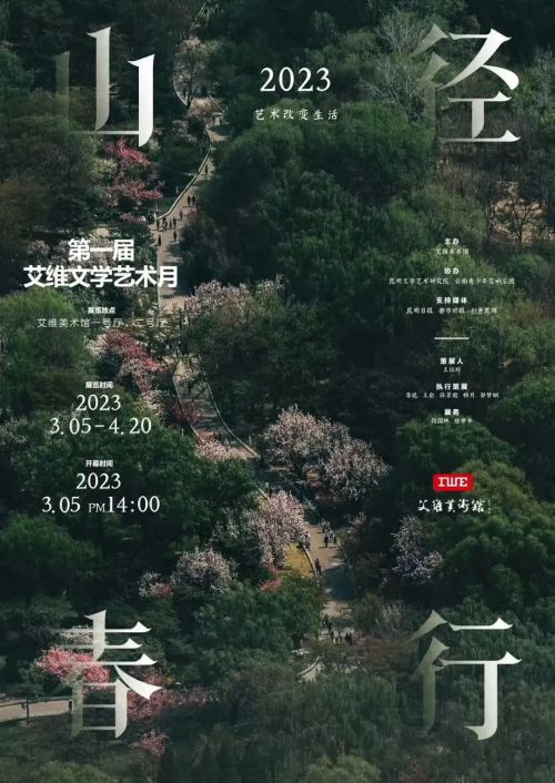 Aa之云体使用案例