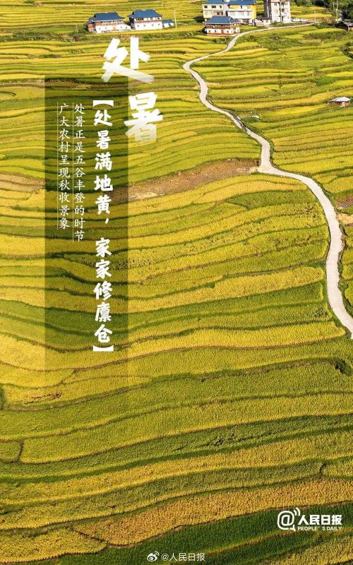 点字烈风使用案例