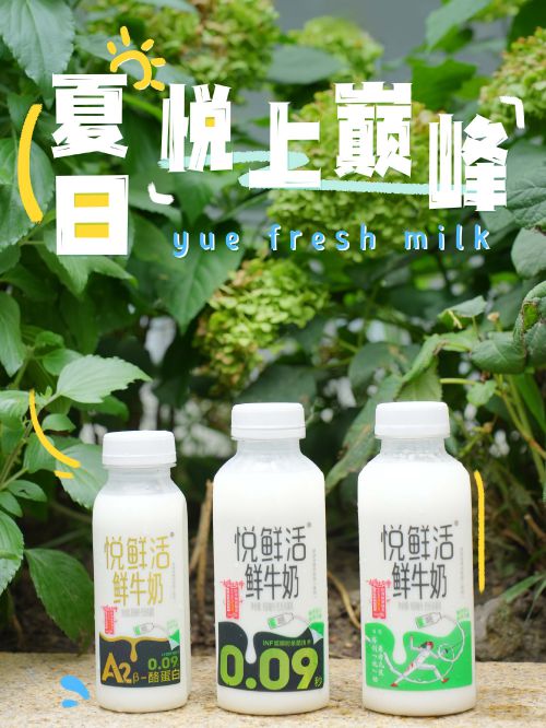 汉仪晓波黑骑士使用案例