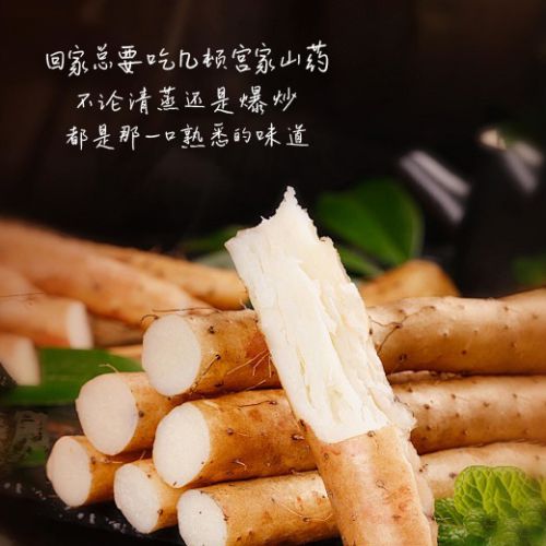 龚帆手写笔记体