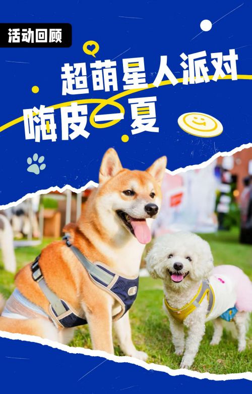 Aa觉醒黑使用案例
