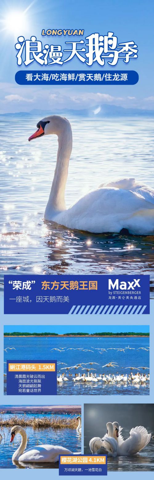 Aa豆伴儿体使用案例