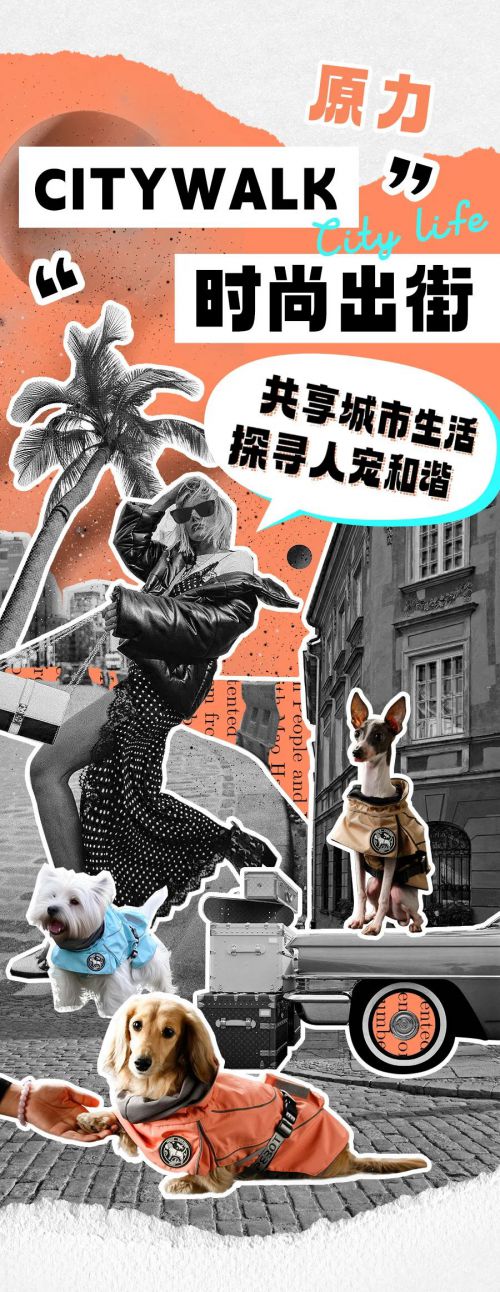 Aa厚底黑使用案例