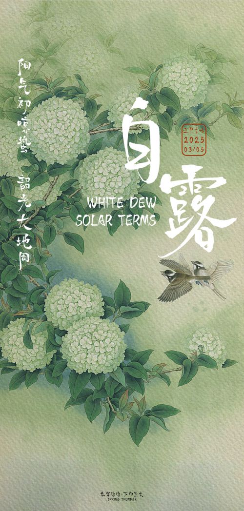 点字浩蔓使用案例