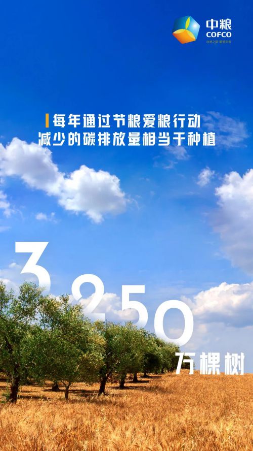 点字超凡战甲使用案例