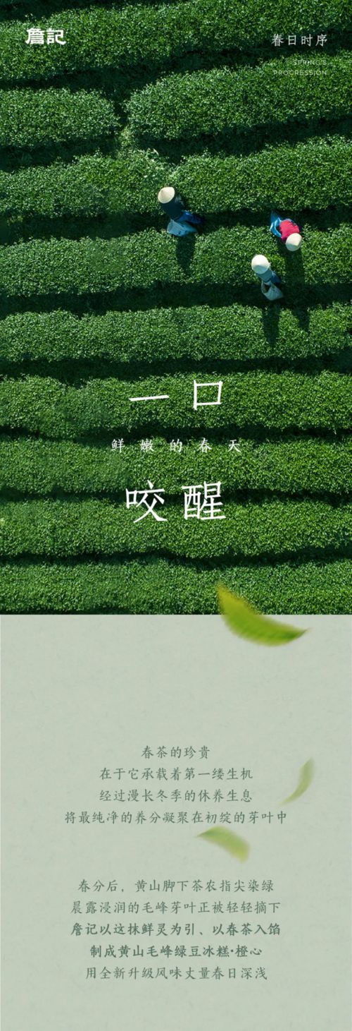 点字云霆楷体使用案例