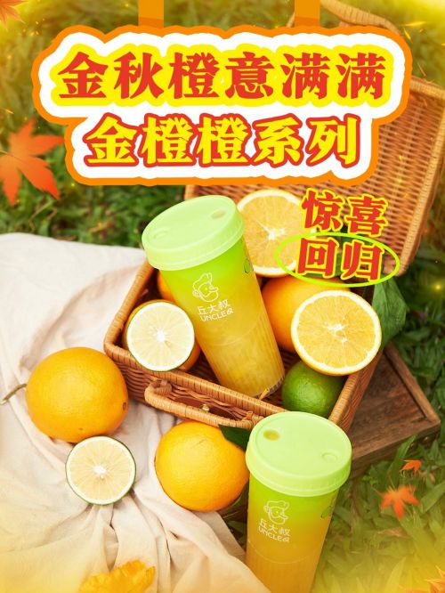 点字玄真宋使用案例