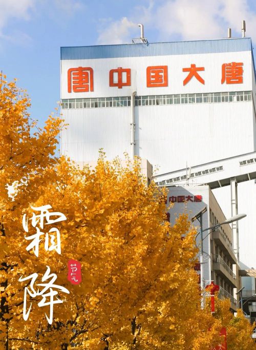 点字行云使用案例