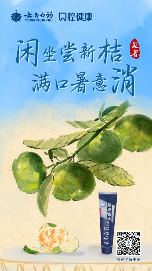 点字风雅使用案例