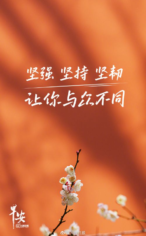 点字热烈体使用案例