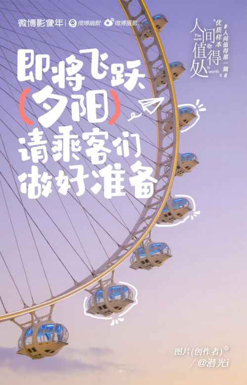 汉仪铸字树袋熊使用案例