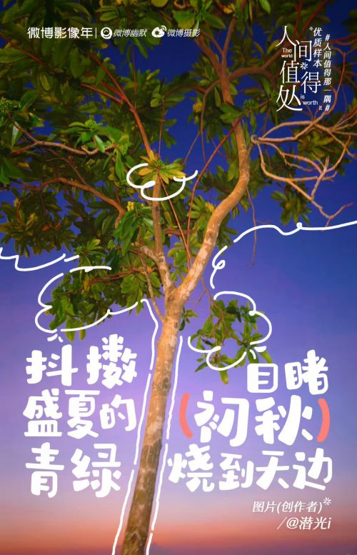 汉仪铸字树袋熊使用案例