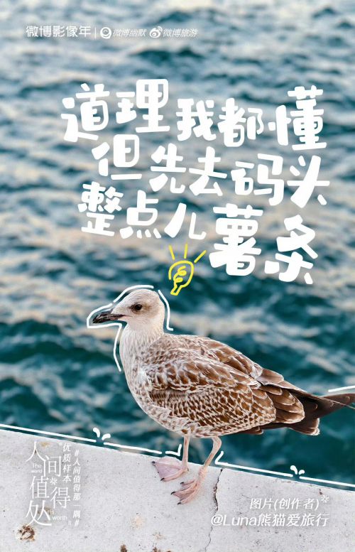 汉仪铸字树袋熊使用案例