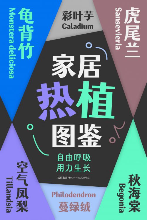 汉仪盈光使用案例