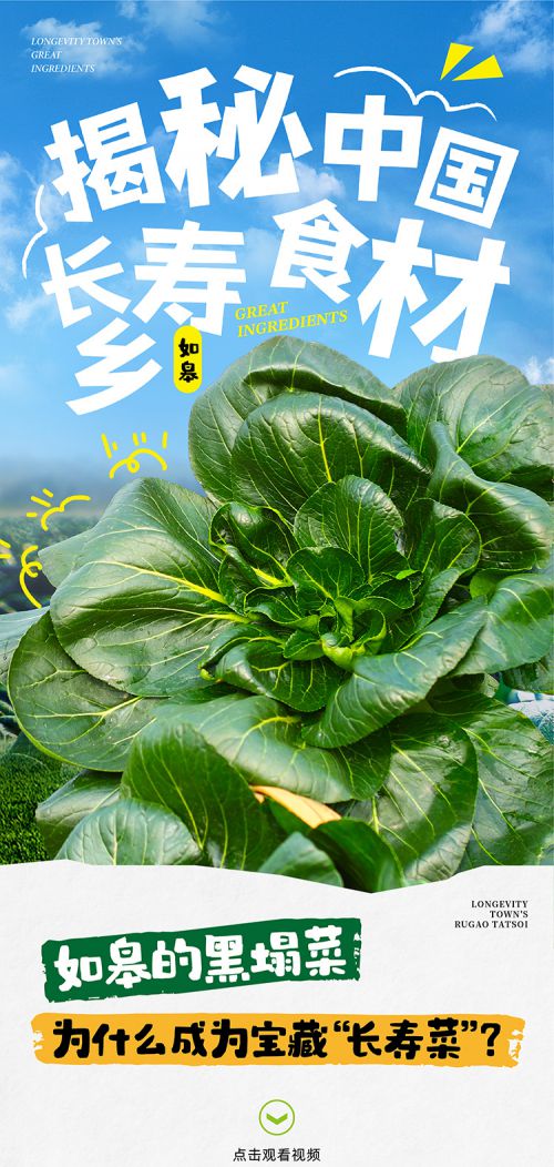 点字拙然体,点字蜡笔使用案例