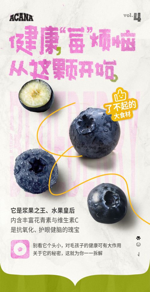 百家造字蒲蒲POP