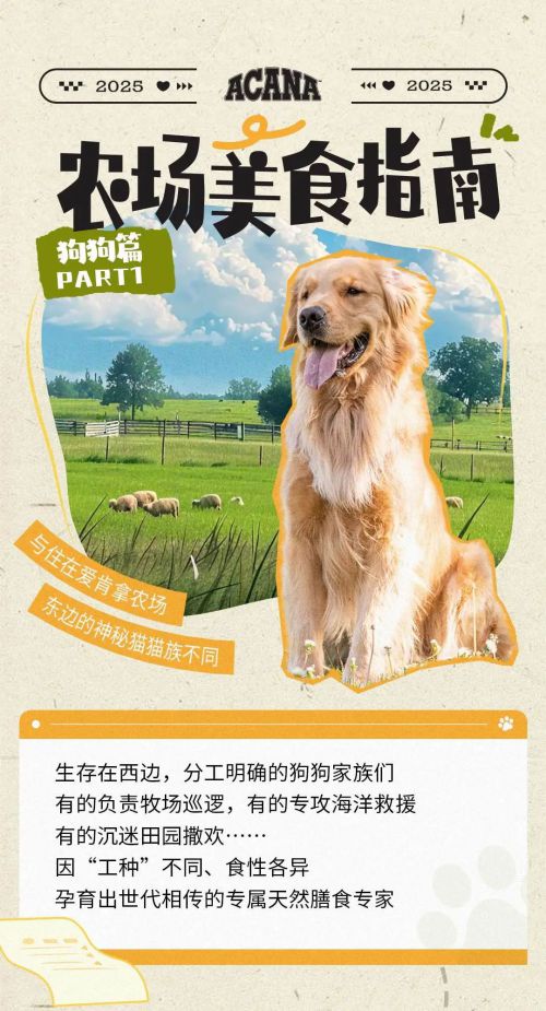点字天然呆使用案例