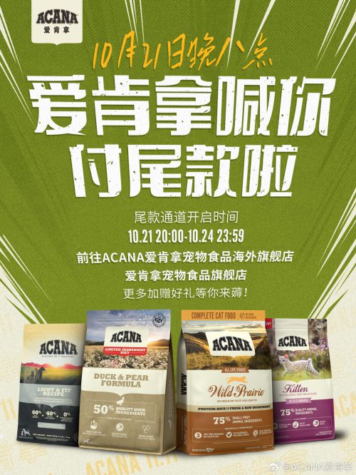 点字飒爽手写体