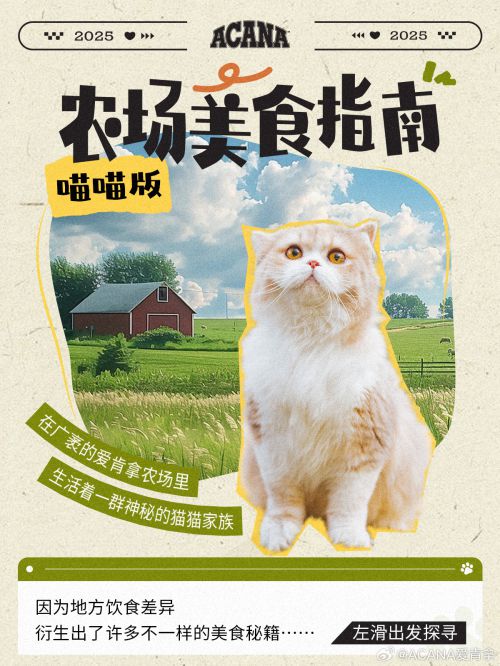 点字天然呆使用案例