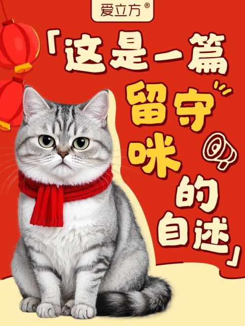 点字物语使用案例