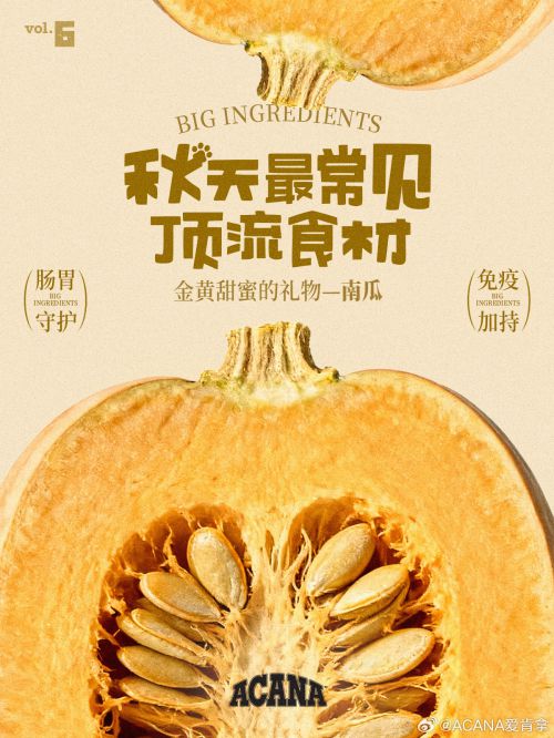 百家造字蒲蒲POP