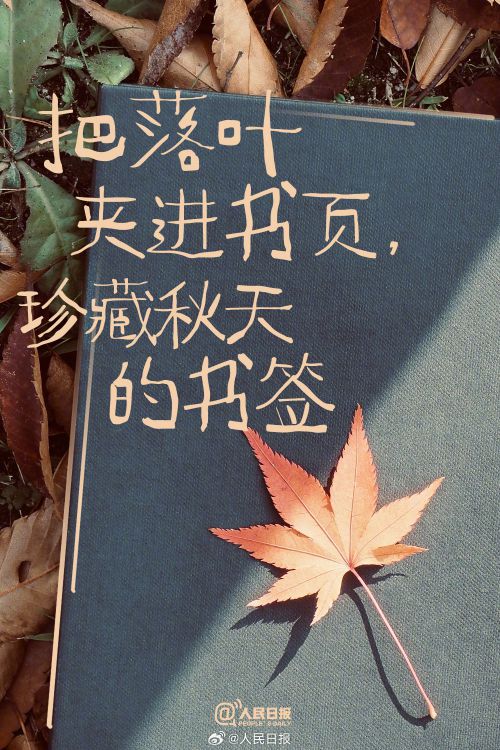 点字稻草人使用案例