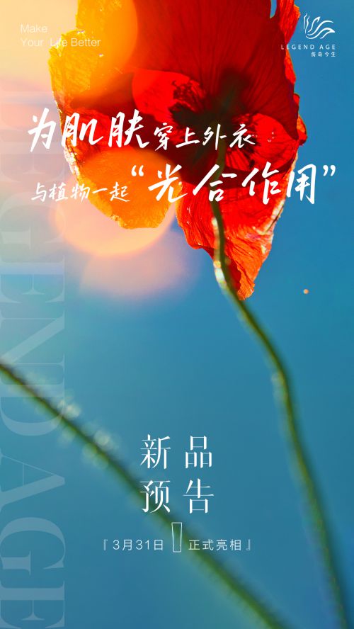 点字热烈体使用案例