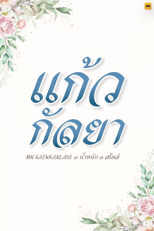 MN KAEWKANLAYA使用案例