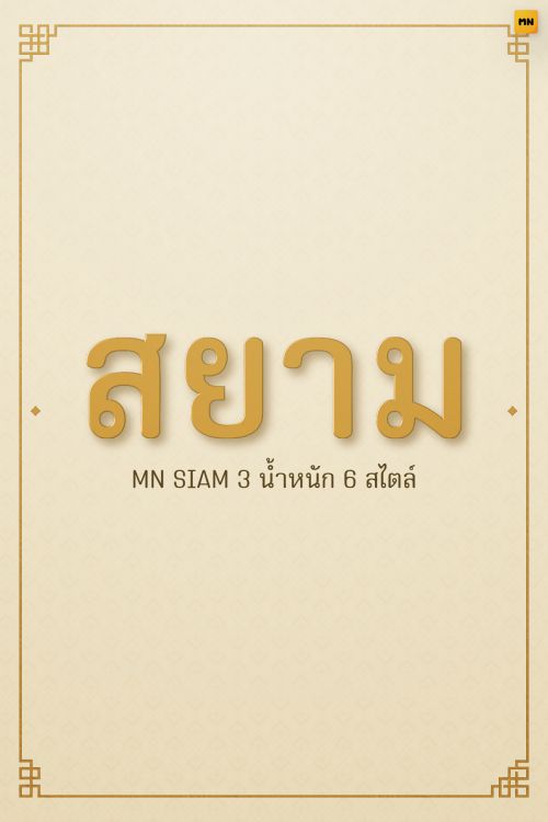 MN SIAM使用案例
