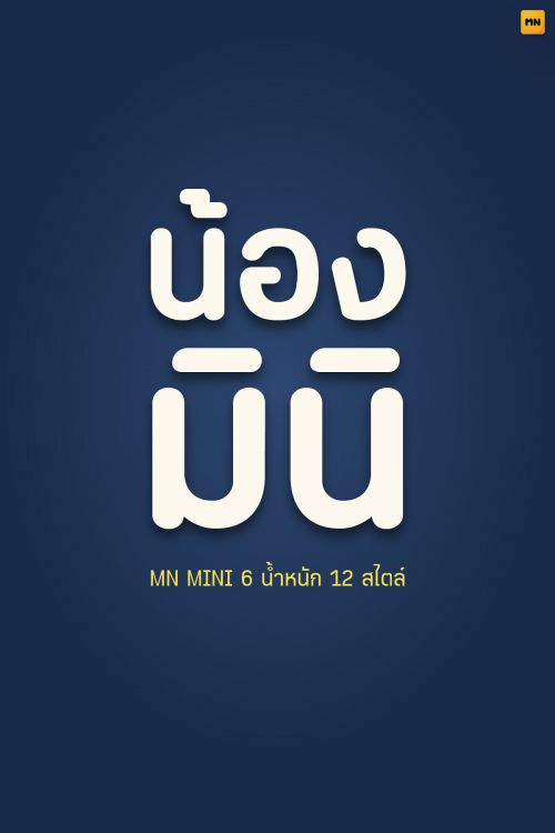 MN MINI使用案例
