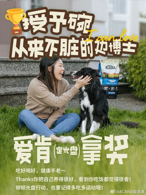 百家造字蒲蒲POP使用案例