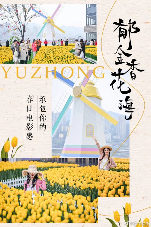 点字浩蔓使用案例