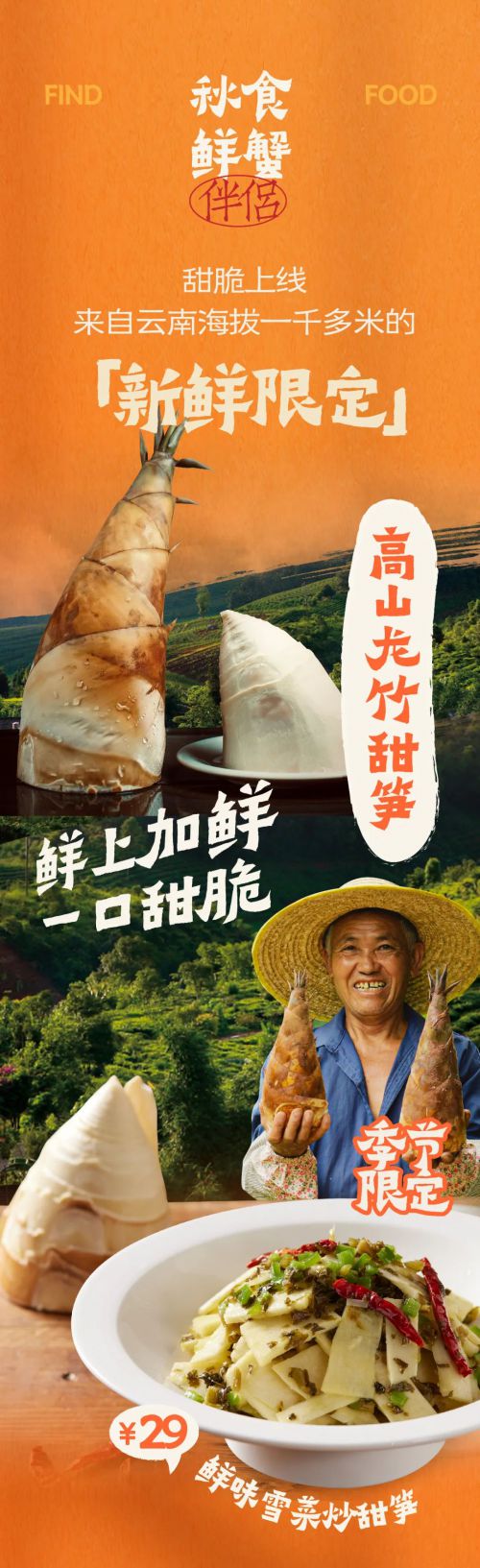 点字爨宝子使用案例