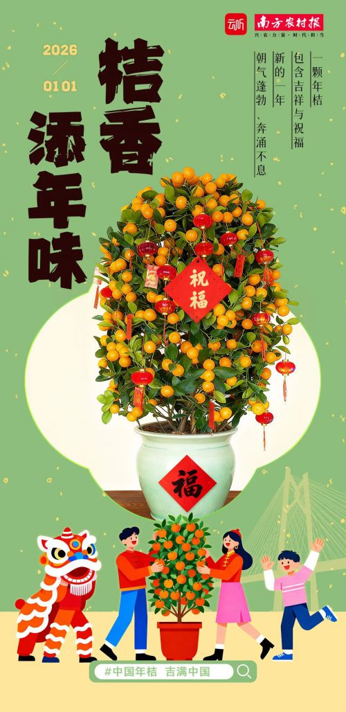 点字超赞使用案例