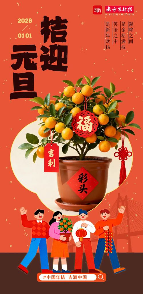 点字超赞使用案例