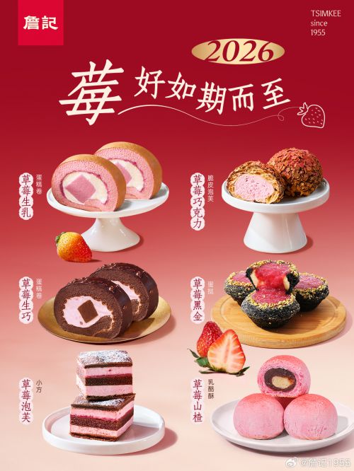 点字淡雅仿宋使用案例