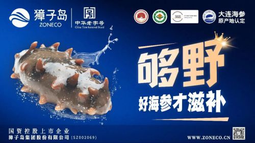 点字倔强黑使用案例