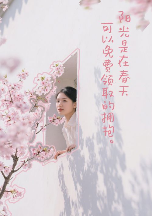 Aa小梨涡使用案例