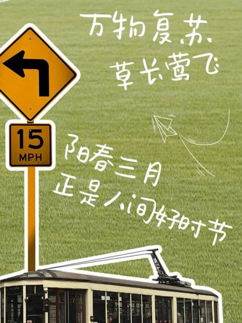 Aa小梨涡使用案例