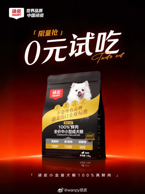 点字美玲体使用案例