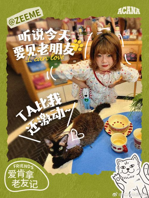 点字小轻松使用案例