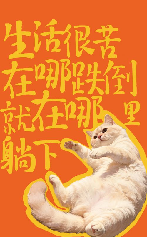 北窗飞韵使用案例