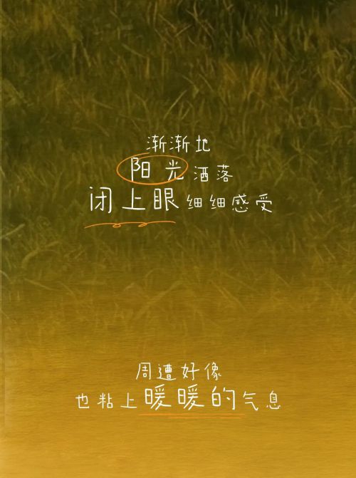 点字少年使用案例