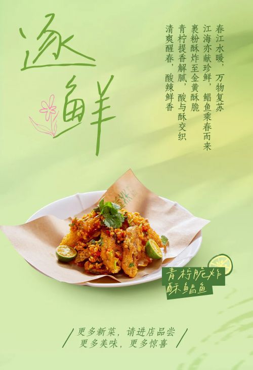 点字淡雅仿宋使用案例