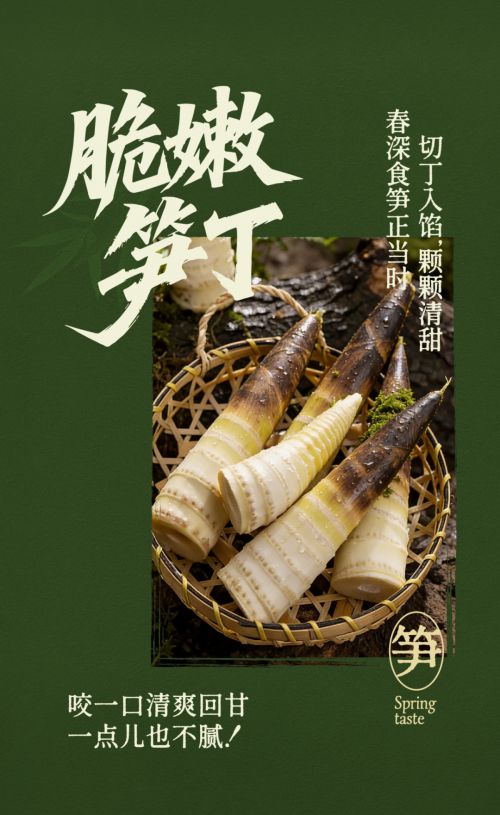演示光芒体使用案例