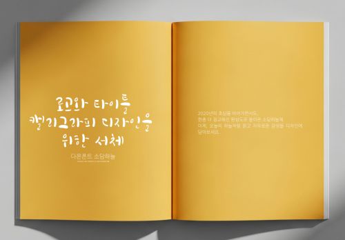 DAON SODAMHANEUL(B)使用案例