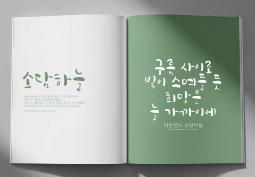 DAON SODAMHANEUL(B)使用案例