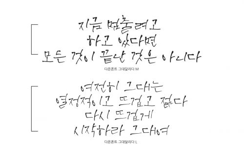DAON GEUDAEDALLIDA(M)使用案例
