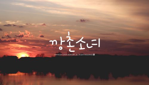 DAON KKANGCHONSONYEO(B)使用案例